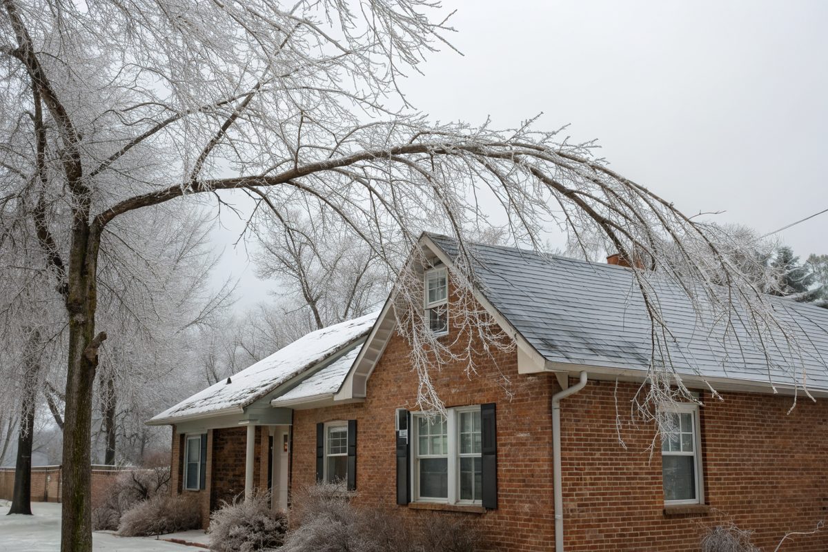 Ice-coated tree branches bending over the shingle roof of a brick house after an ice storm