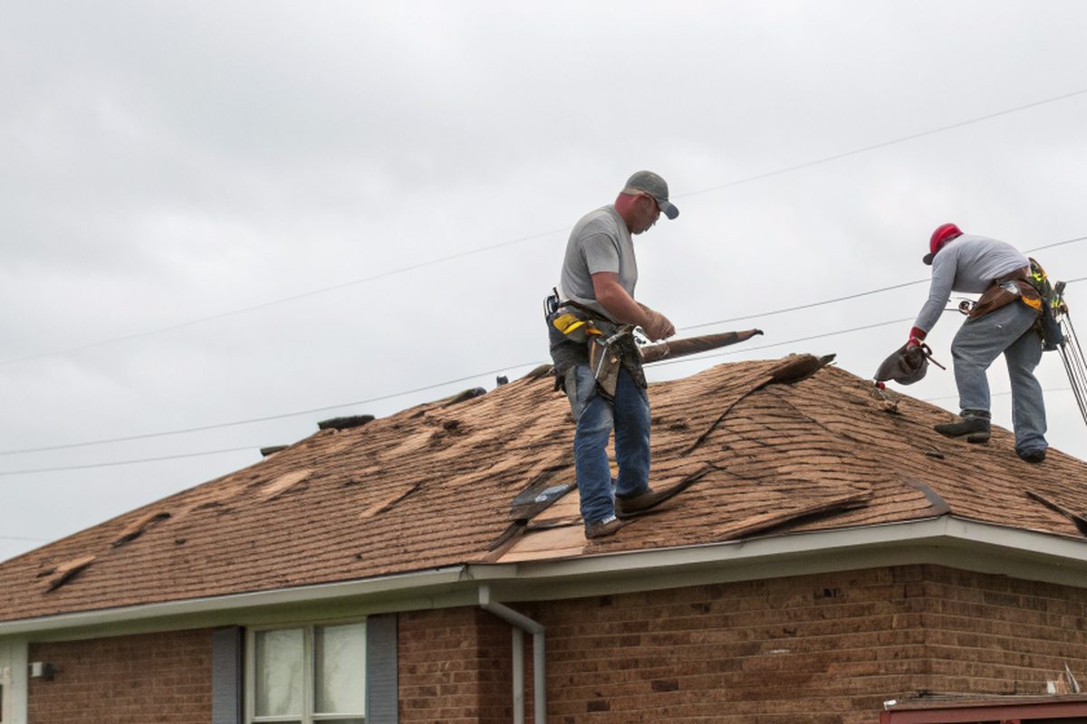 Two roofers in harnesses tearing old brown shingles off a one-story brick house